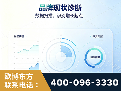 香格里拉-品牌现状诊断